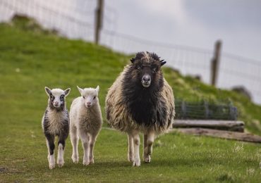 Ceļojums uz Fēru salām