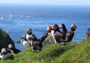 Ceļojums uz Fēru salām