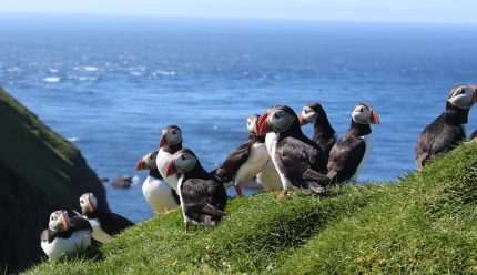 Ceļojums uz Fēru salām