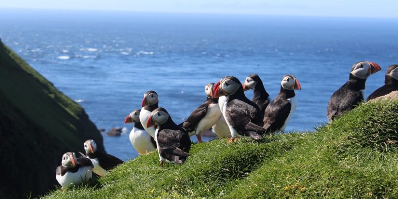 Ceļojums uz Fēru salām