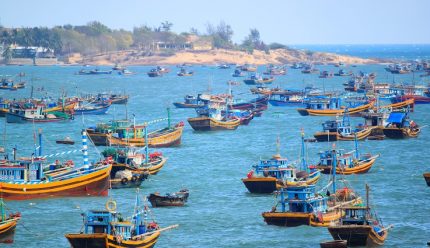 Vjetnama – Swiss Village Resort 4* Vjetnama – Swiss Village Resort 4*