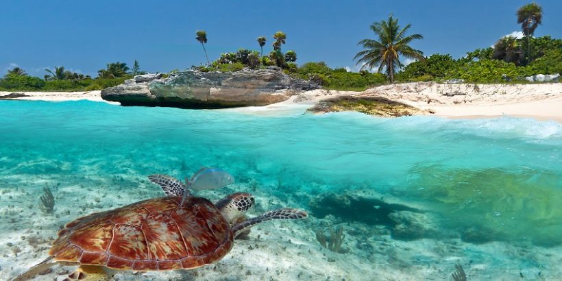 Meksika-Playa-del-Carmen Meksika-Playa-del-Carmen