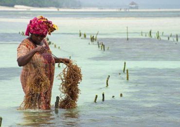 Atpūtas ceļojumi uz Zanzibāru Tanzānijā