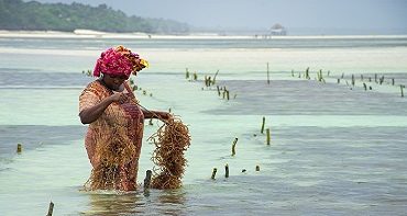 Eksotiskā Zanzibāra