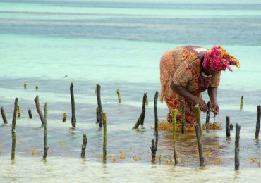 Atpūtas ceļojumi uz Zanzibāru Tanzānijā