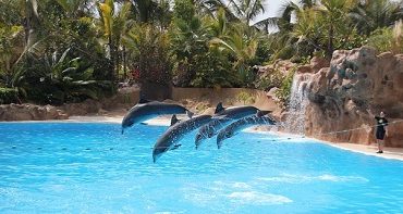 Loro Parque Tenerife